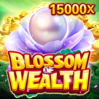 Tổng quan về Điều khoản dịch vụ game win55