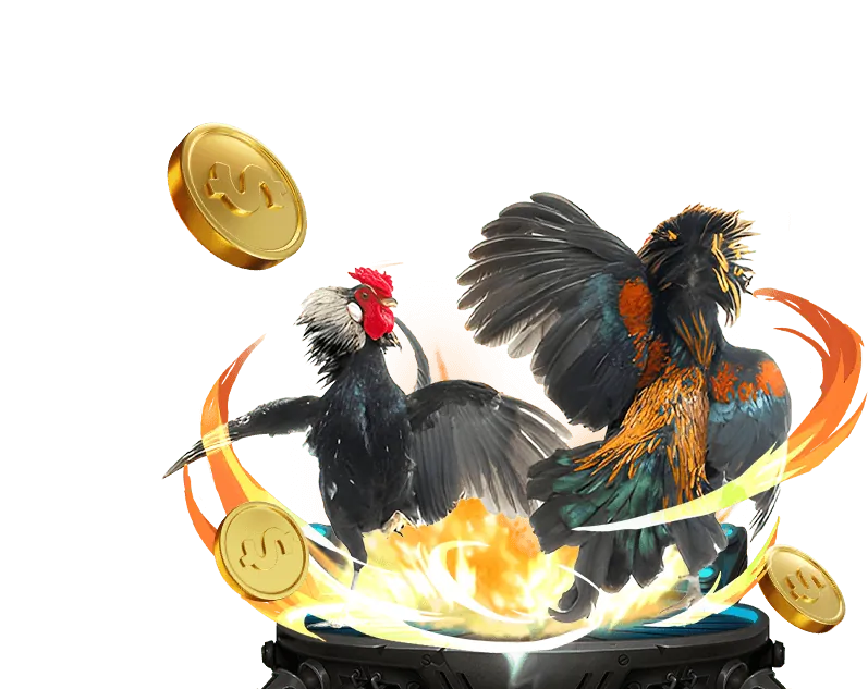 Bảo mật và công bằng tại Win55 Casino